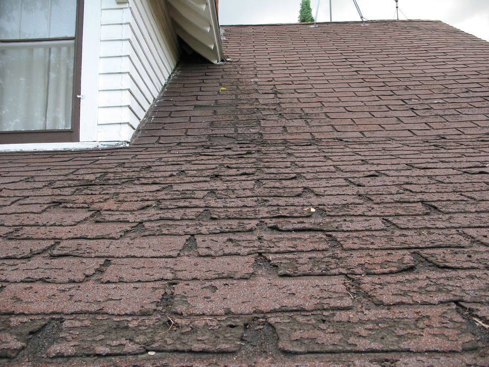 Roofer inspecting shingles